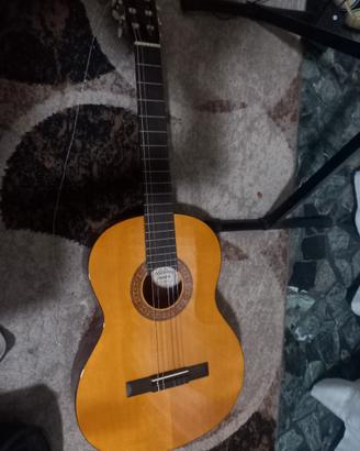 Chitarra Walden Standard Classic N350