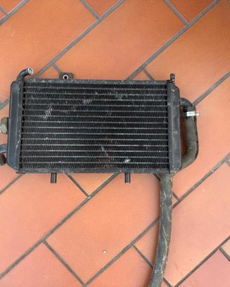 Radiatore moto scooter