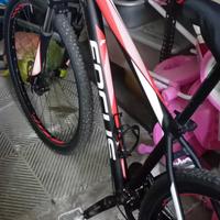 MTB Focus Tgl 29 M