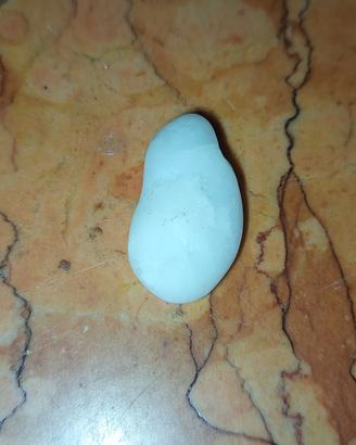 Pietra bianca naturale fagiolo levigata Puglia