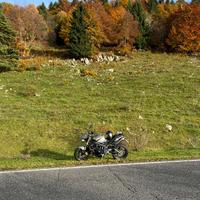 Triumph Street Triple - 2009