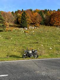 Triumph Street Triple - 2009