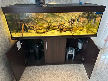 Acquario 330L completo EHEIM + accessori