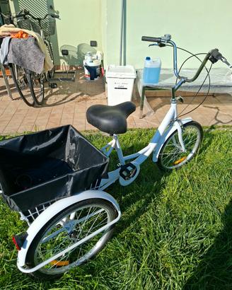 bicicletta 3 ruote