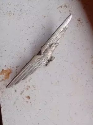 Spilla distintivo aquila ali spiegate