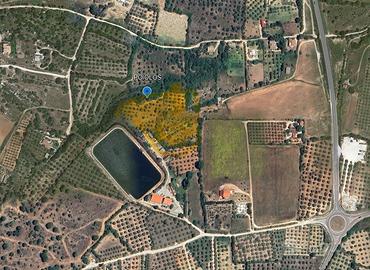 Terreno agricolo con uliveto vista panoramica