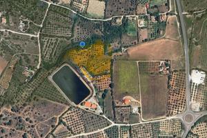 Terreno agricolo con uliveto vista panoramica