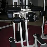 Palestra Completa Technogym Linea Lux