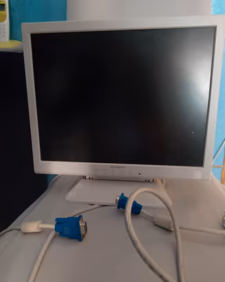 Monitor LCD Vintage Sharp LL-T15G3-H (Formato 4:3)