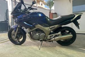 Tdm 900