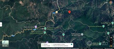 Terreno adibito a sughereta