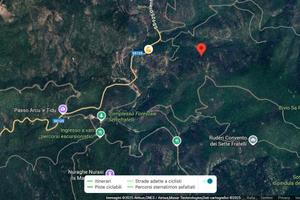 Terreno adibito a sughereta