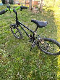 Bici ragazzo ruote da 20