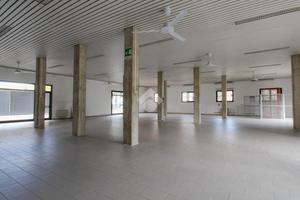 UFFICIO A SPILAMBERTO