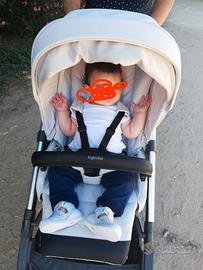 Trio Inglesina aptica