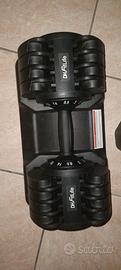 Manubri da 25kg cadauno