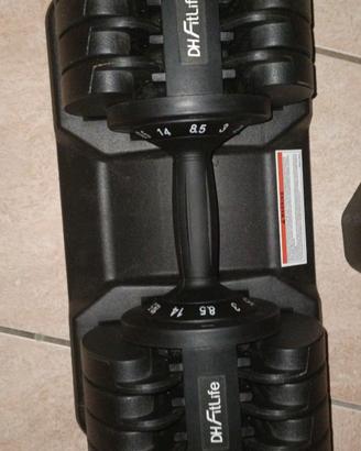 Manubri da 25kg cadauno
