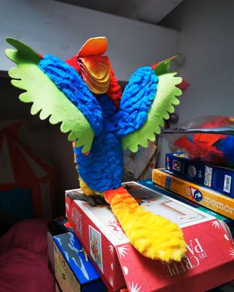 Fur real martino canterino