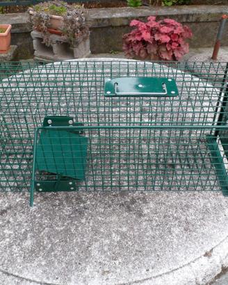 GABBIA TRAPPOLA PER GATTI NUOVA