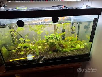 Acquario 40lt completo di accessori