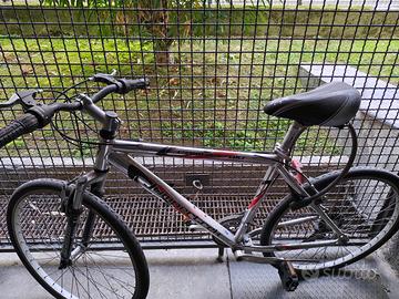 Biciclette da passeggio