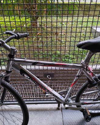Biciclette da passeggio