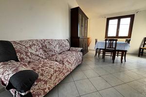 Piccolo trilo annuale sa minda noa