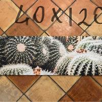 Quadri cactus e giungla con pappagalli 