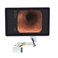 Monitor medicale per endoscopia LCD 21” Full HD