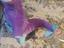 Immagine 2