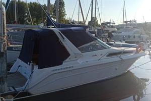 Sea ray sundancer anno 1993