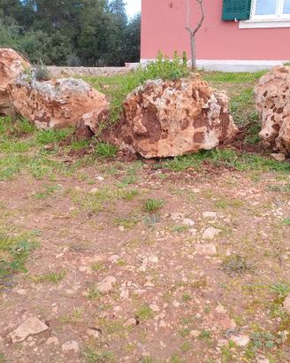 rocce per arredo giardino