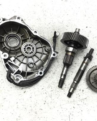 PEUGEOT GEOPOLIS 250 CARTER E INGRANAGGI RUOTA POS