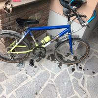 Bici - bicicletta bimbo/bimba