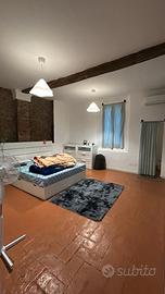 Centrale con giardino esclusivo