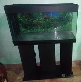 ACQUARIO 100 LITRI CON MOBILE