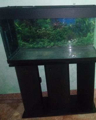 ACQUARIO 100 LITRI CON MOBILE