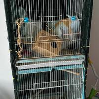 gabbia grande per uccelli