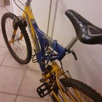 mountain bike