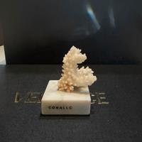 CORALLO DECORATIVO