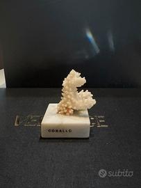 CORALLO DECORATIVO