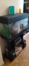 acquario completo 