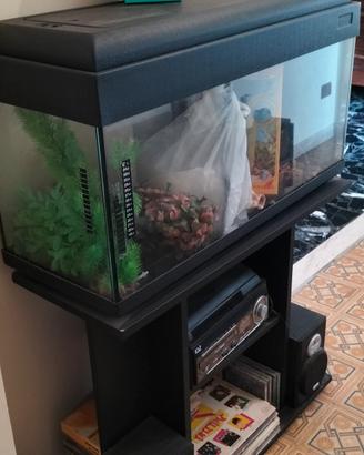 acquario completo 