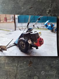 tagliarla a motore