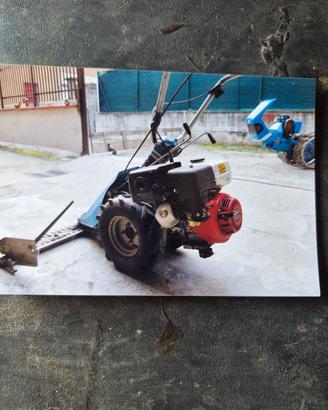 tagliarla a motore