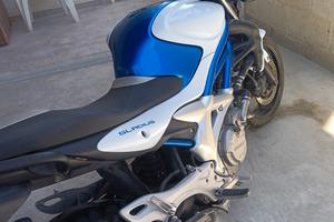 Suzuki gladius