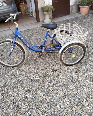 Bici a 3 ruote 