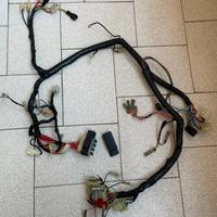 Impianto elettrico Yamaha Virago 535