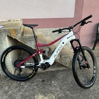 mtb alpek evoke