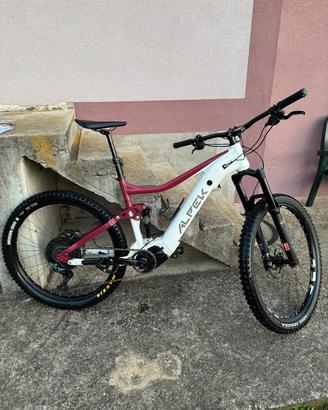 mtb alpek evoke